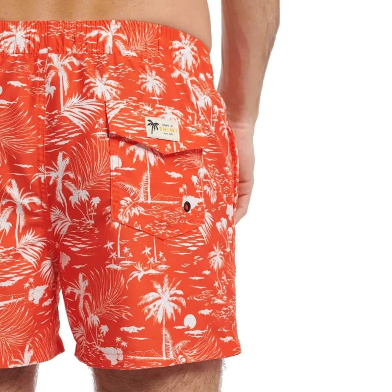 swimshort kauai | shiwi | 4102115178-314 | zwembroek | back